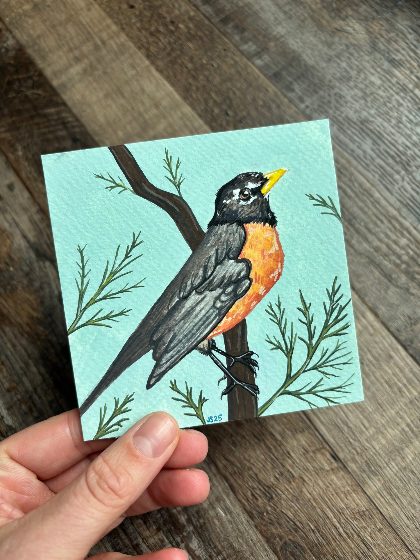 Robin | Original Painting
