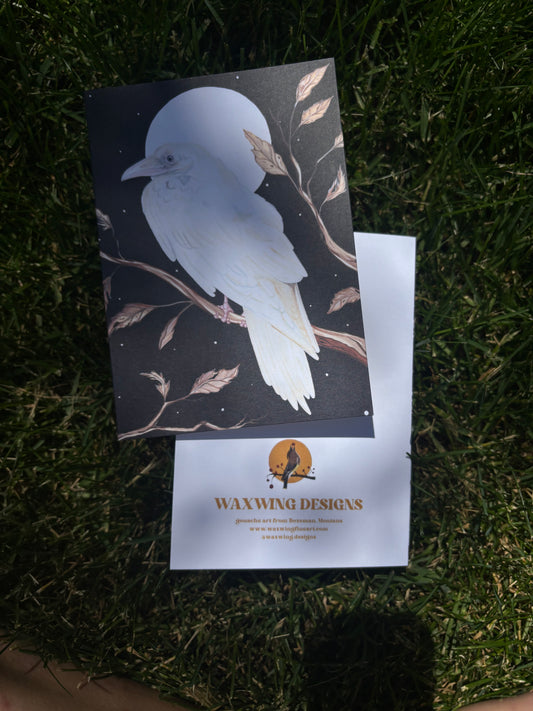 Albino Raven Card