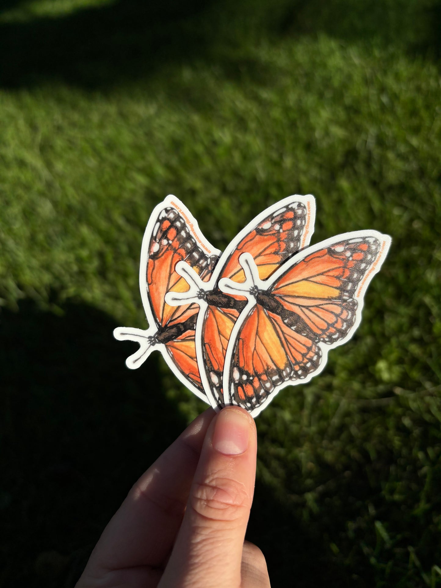 Monarch Butterfly Sticker
