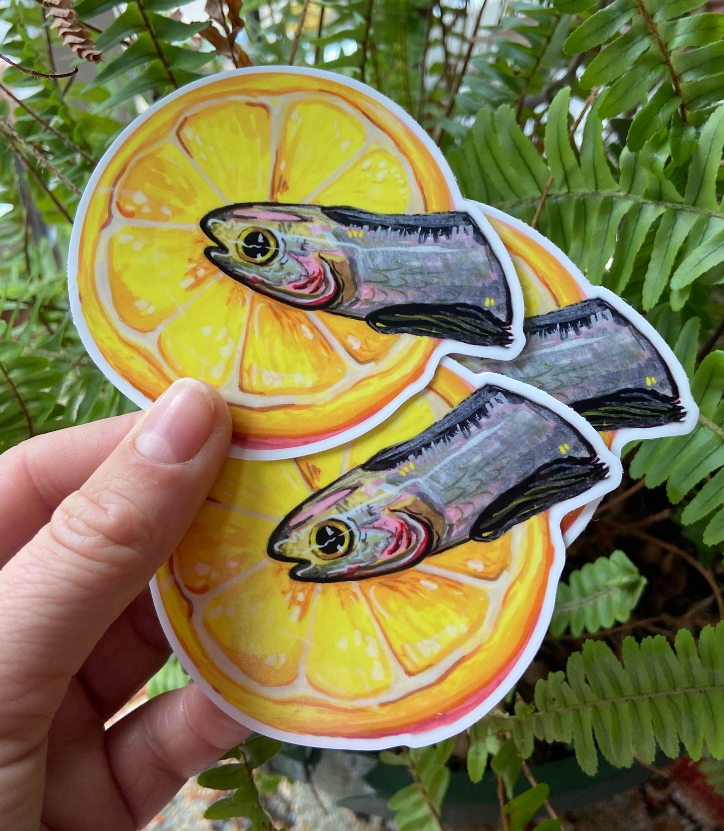 Lemon fish