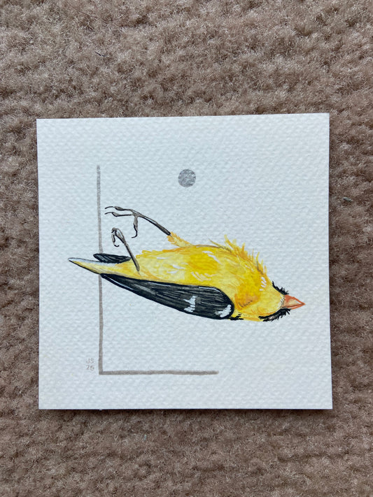Dead Goldfinch | Original Painting