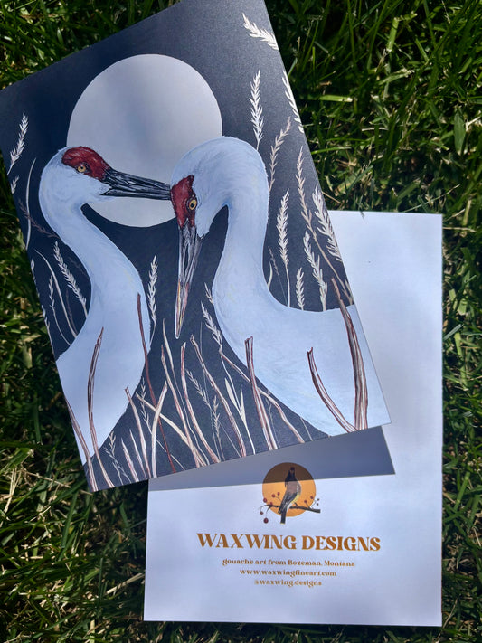 Sandhill Cranes Card