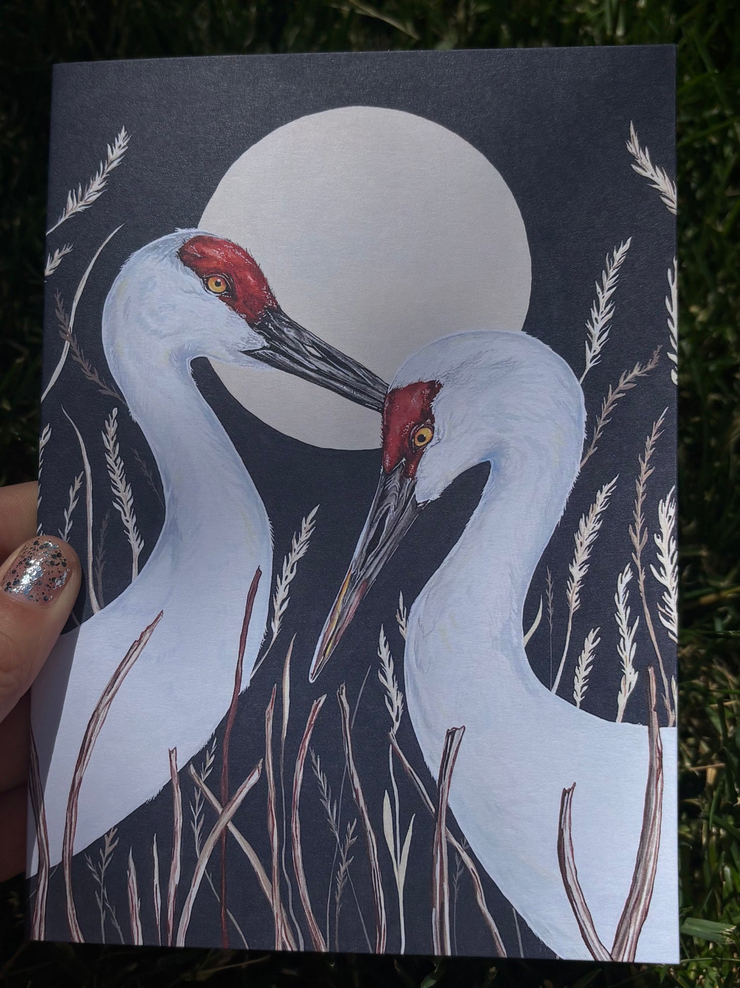 Sandhill Cranes Card