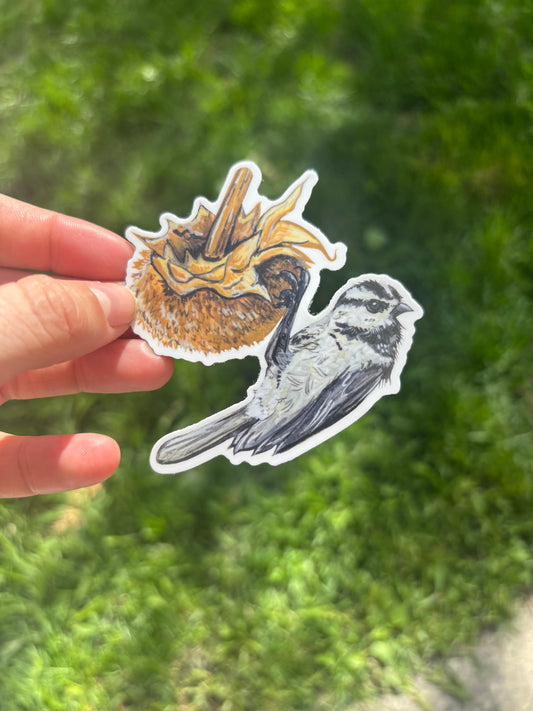 Chickadee sticker