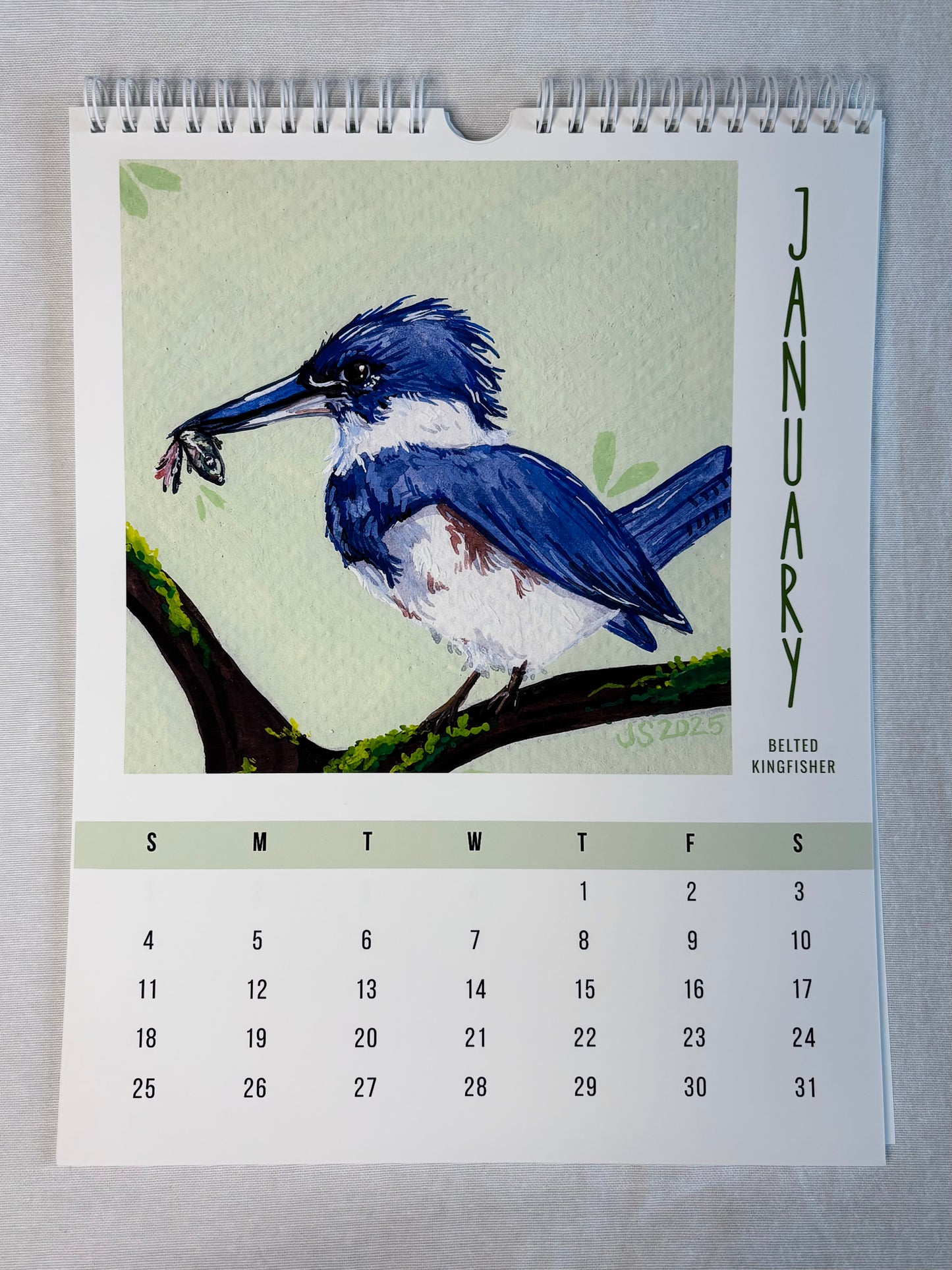 2026 Wall Calendars - Backyard Birds