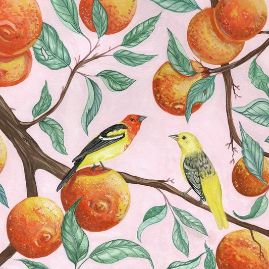 Western Tangerines | Prints