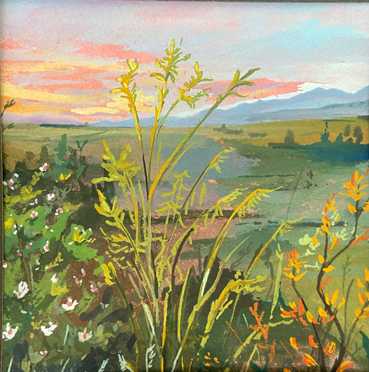 Peets Hill Sunset | Prints