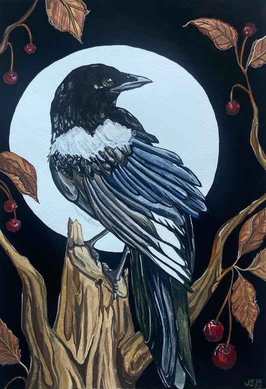 Magpie | Original Painting