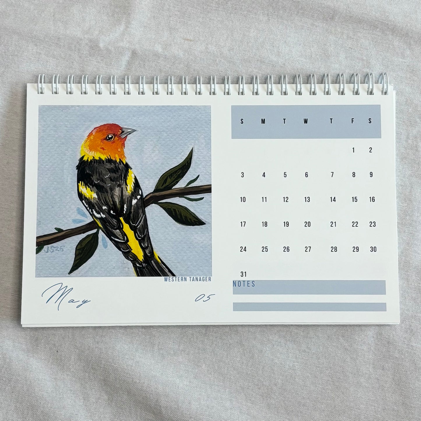 2026 Desk Calendar - Backyard Birds