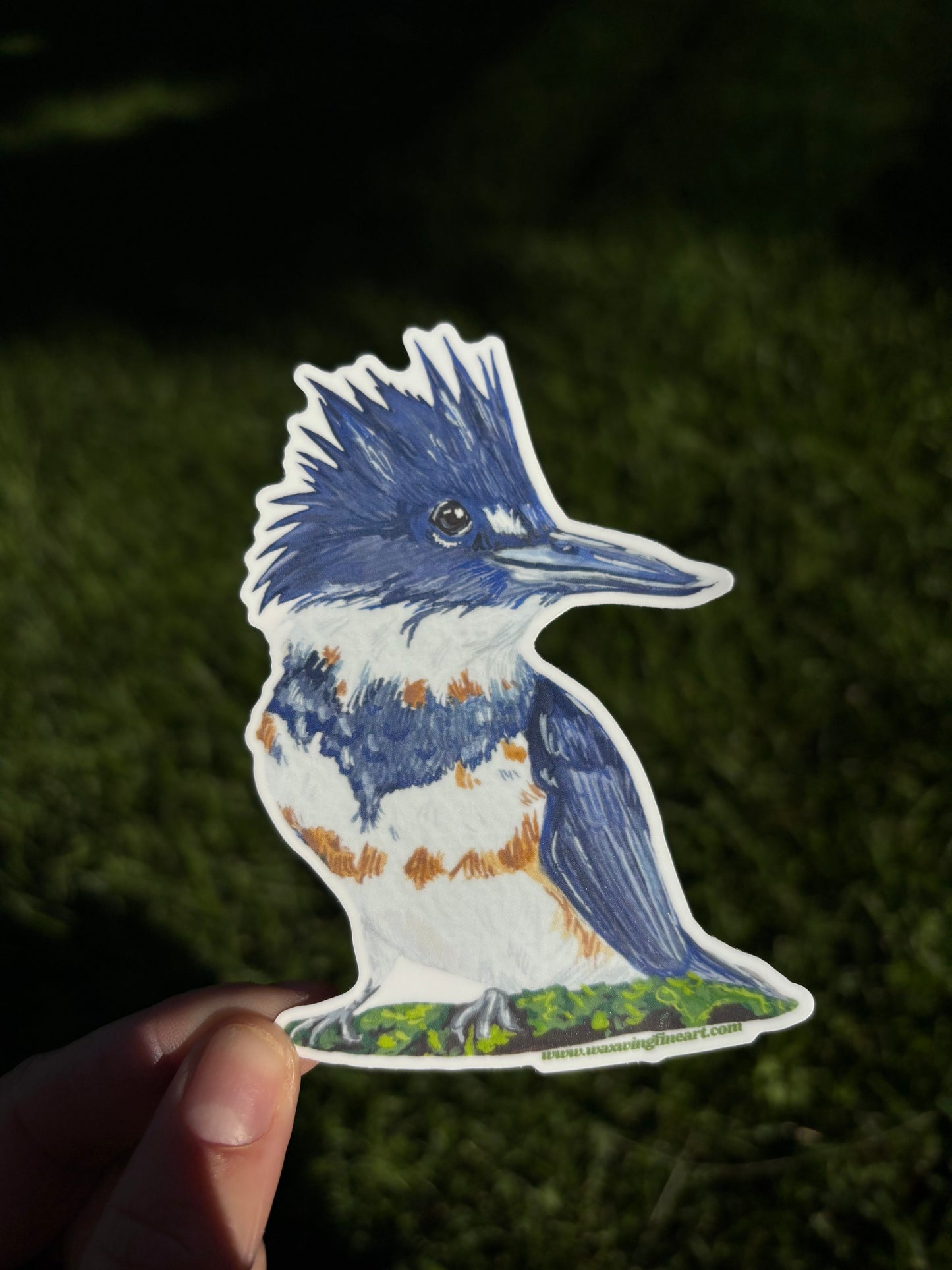 Kingfisher Sticker