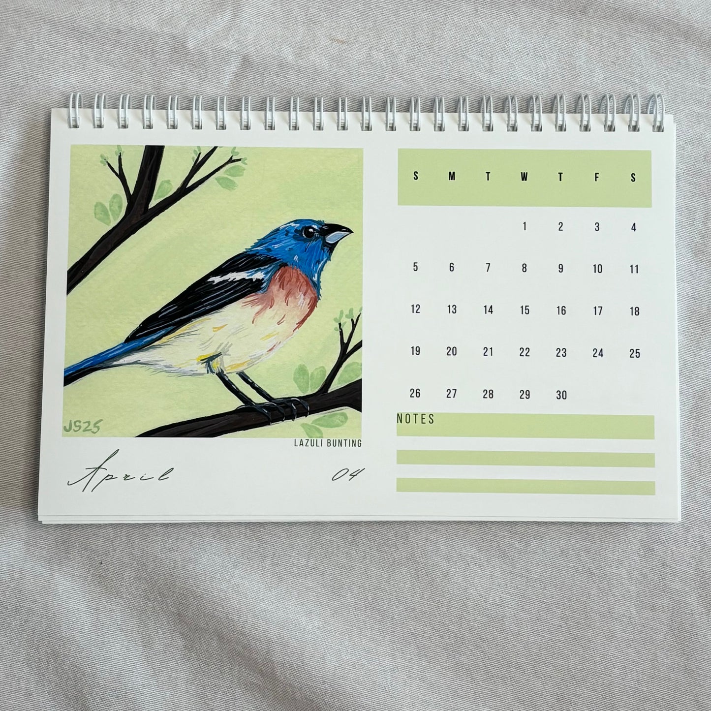 2026 Desk Calendar - Backyard Birds