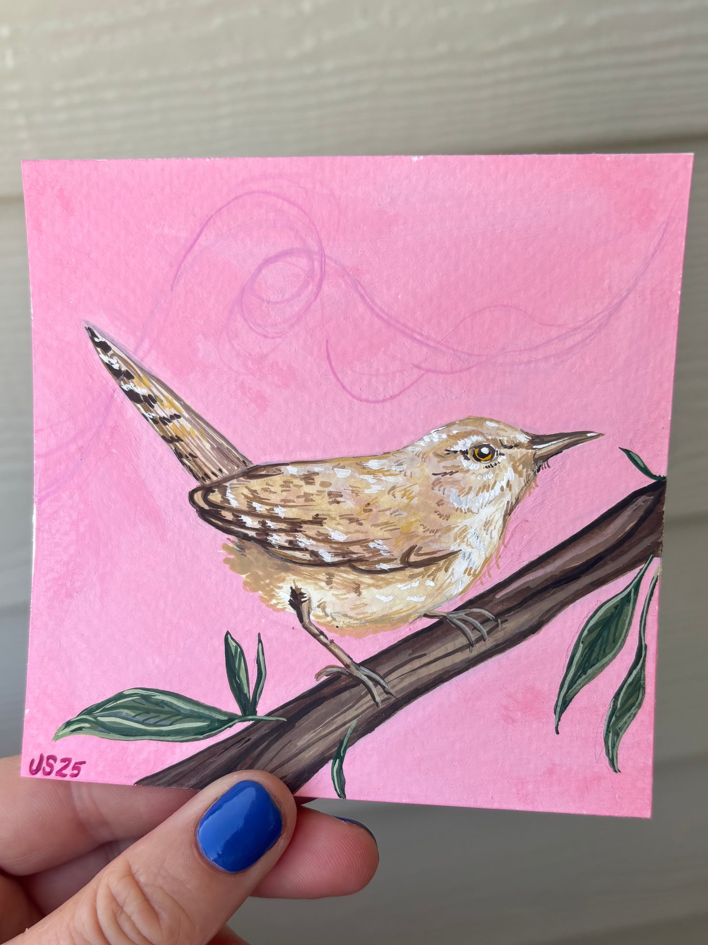 House Wren | Original Painting