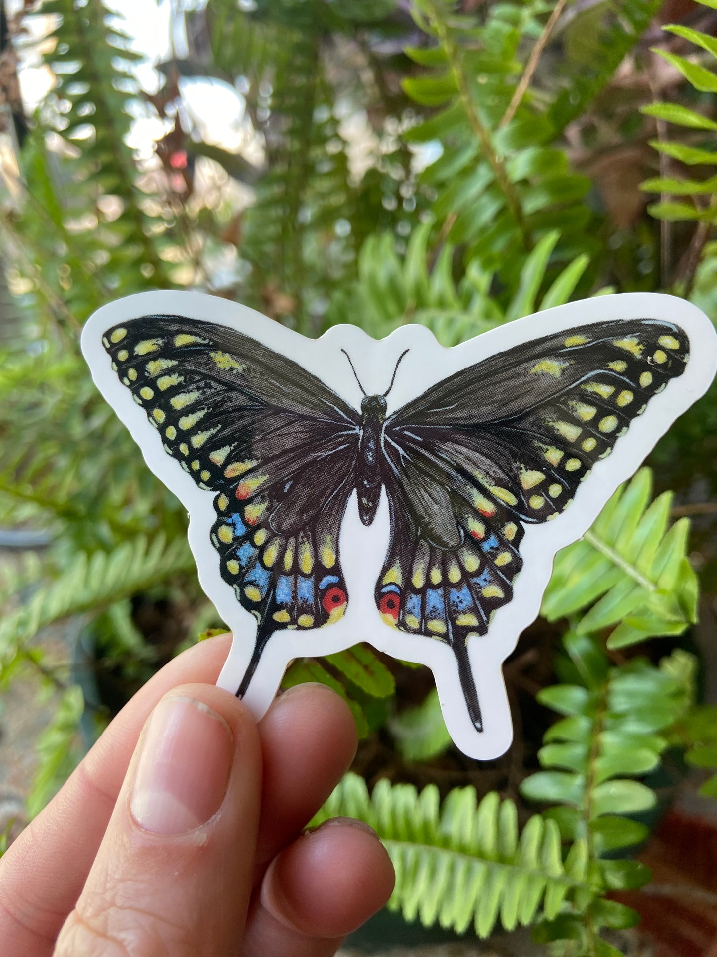 Black Swallowtail Butterfly sticker
