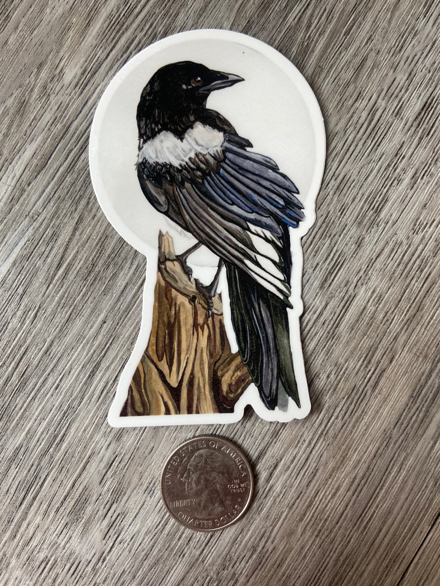 Magpie