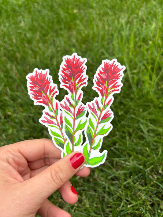 Indian Paintbrush Sticker
