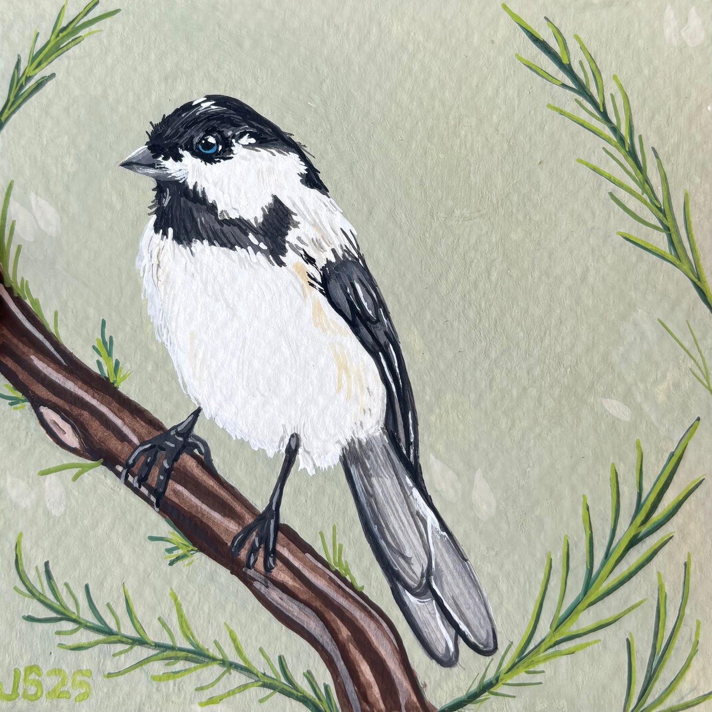 Chickadee III | Original Painting