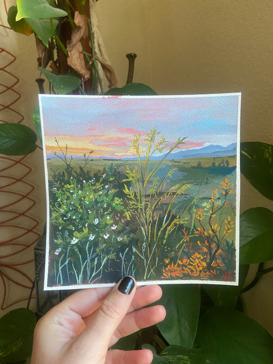 Peets Hill Sunset | Original Painting