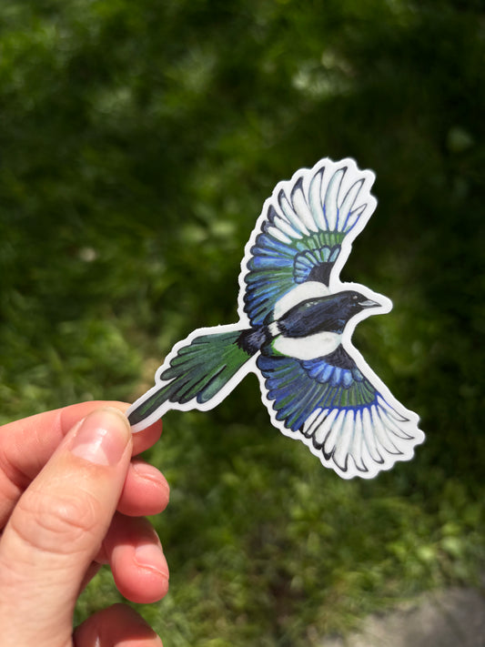 Magpie sticker