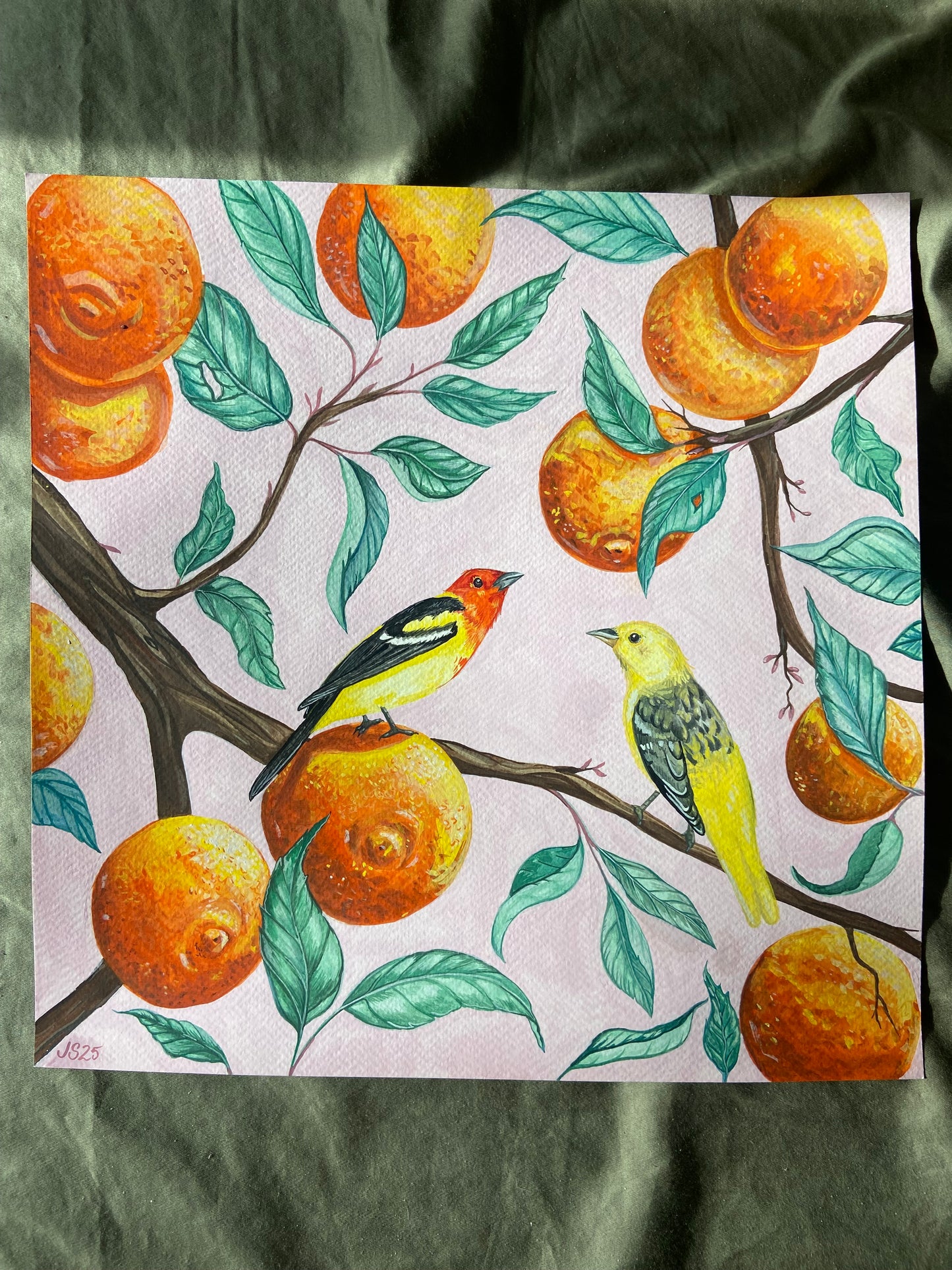 Western Tangerines | Original Painting