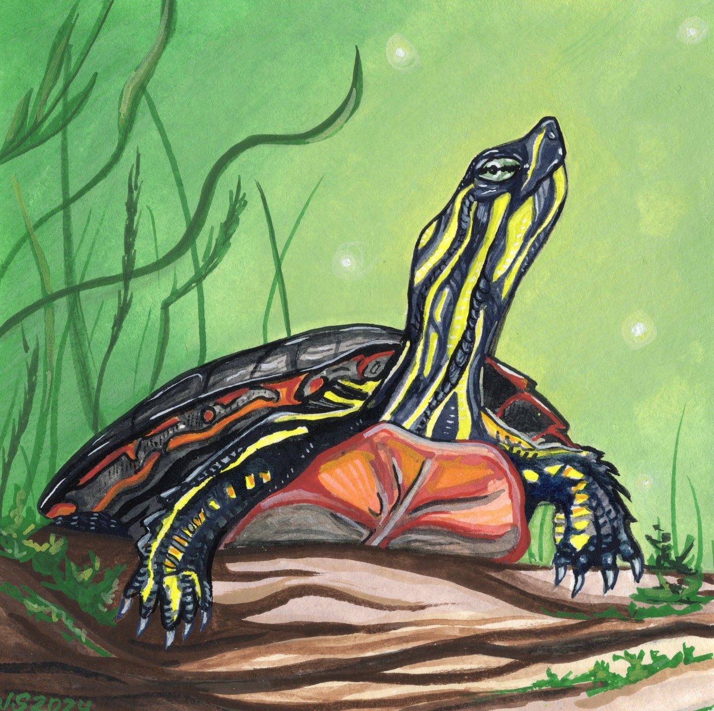Painted Turtle 2 | Original painting