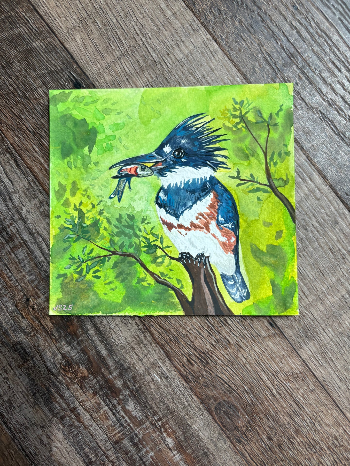 Kingfisher | Original Painting