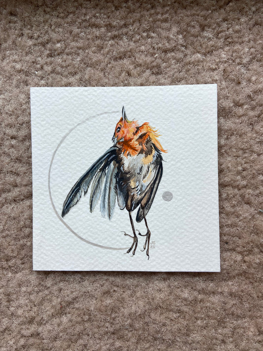 Dead Robin | Original Painting