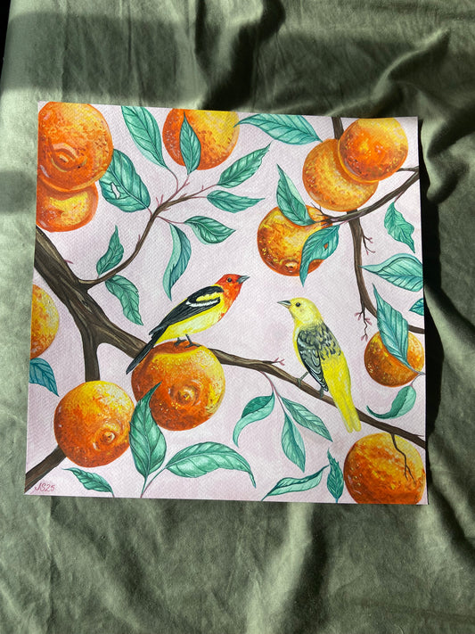 Western Tangerines | Original Painting