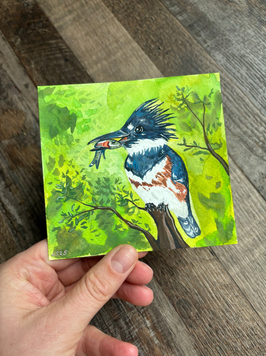 Kingfisher | Original Painting