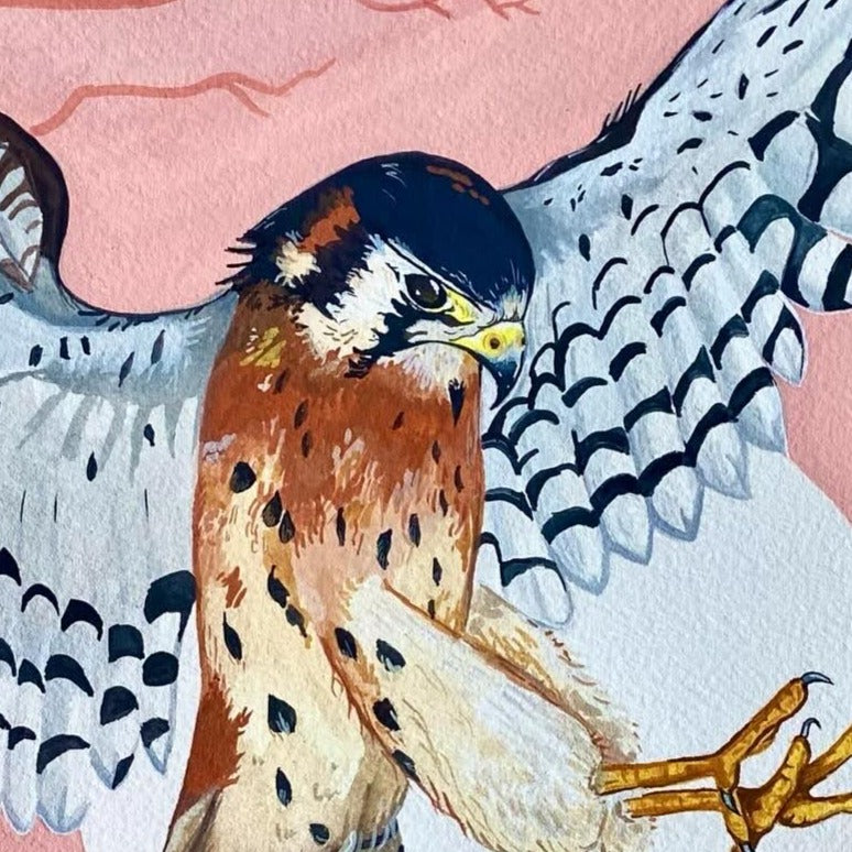Kestrel | Prints