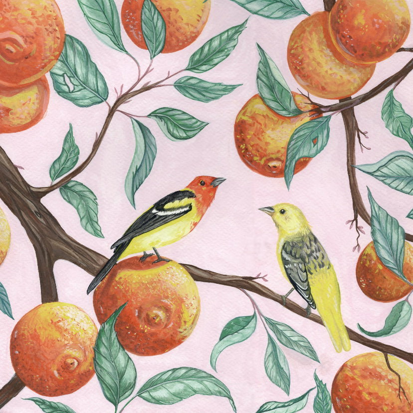 Western Tangerines | Original Painting