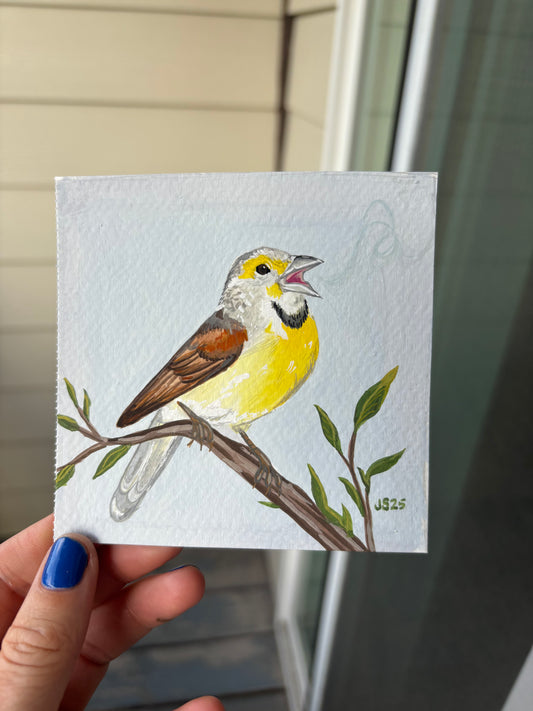 Dickcissel | Original Painting