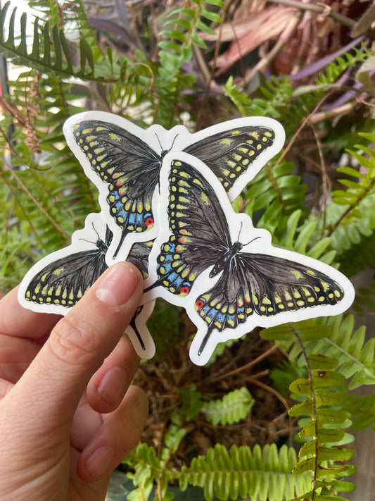 Black Swallowtail Butterfly sticker