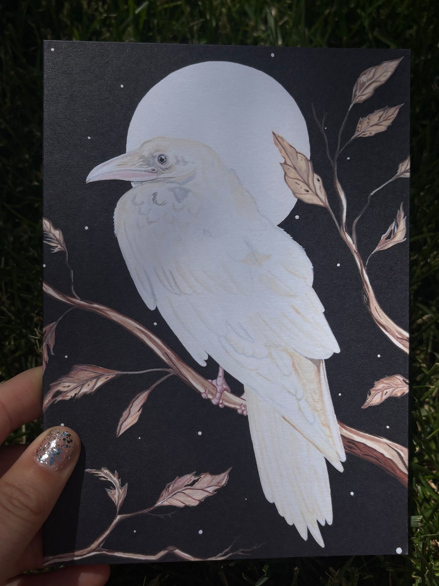 Albino Raven Card