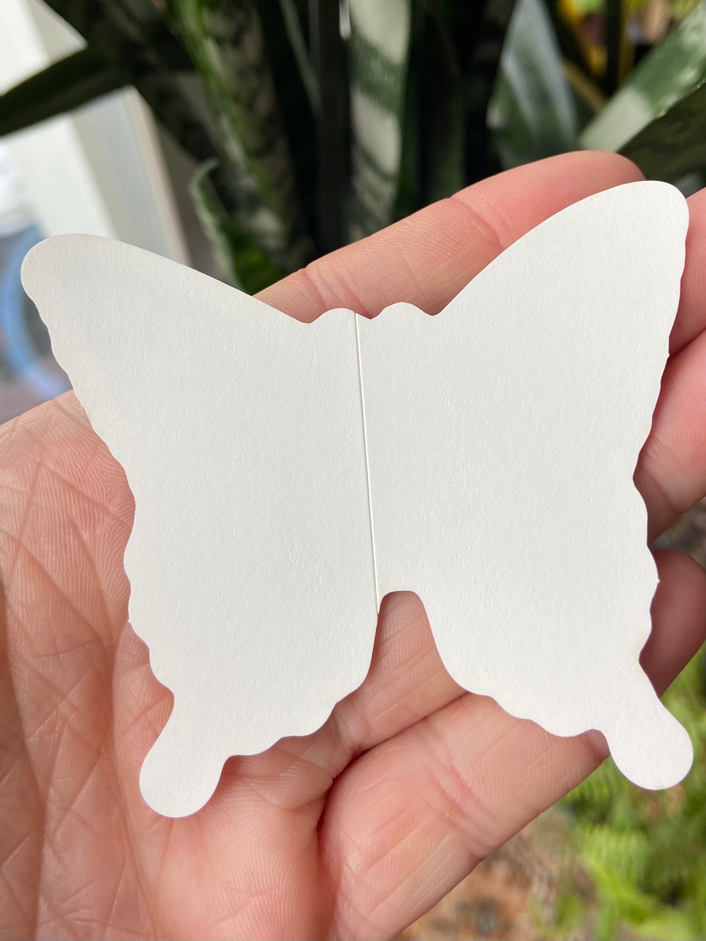 Swallowtail Butterfly sticker