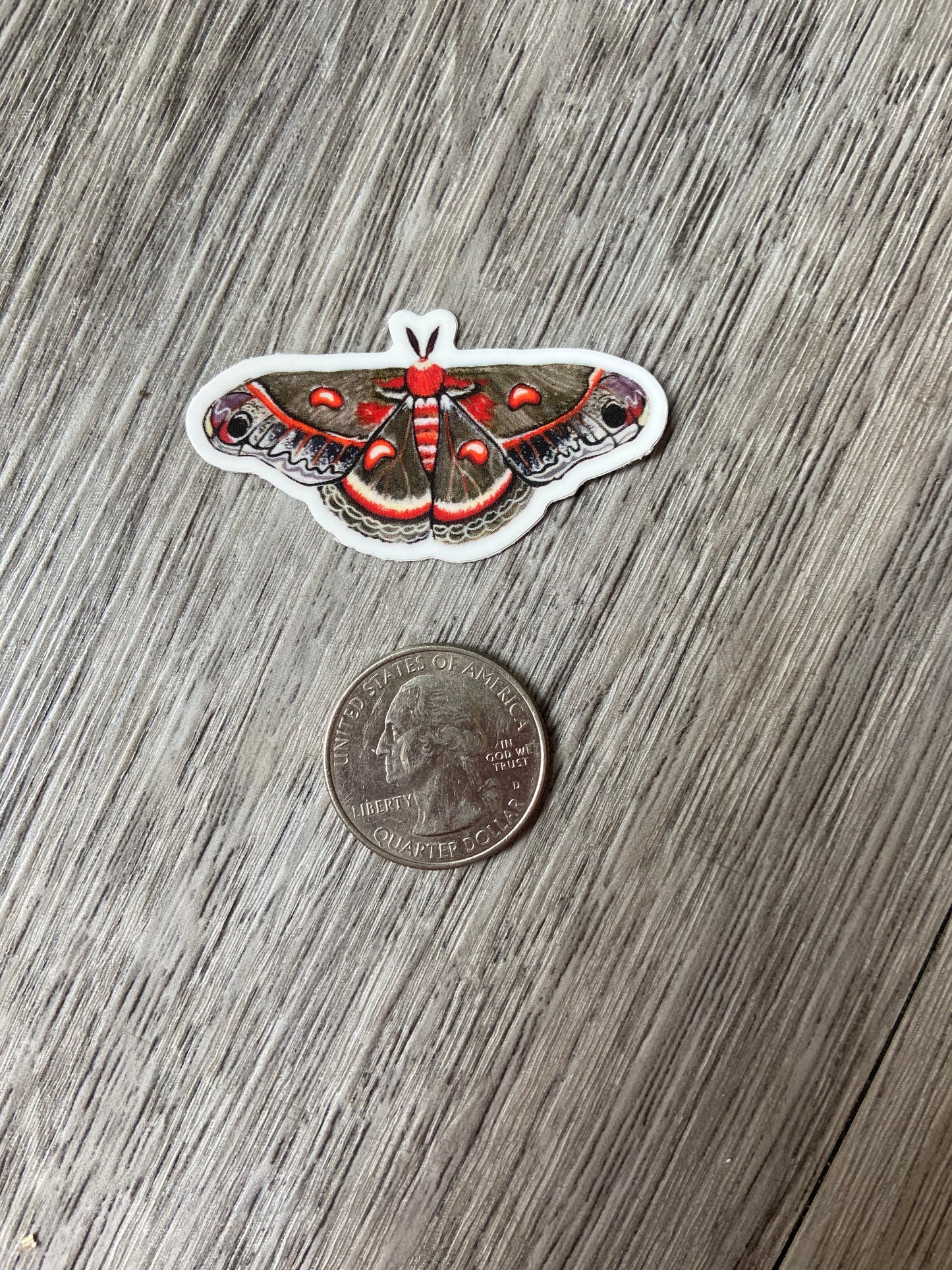 Crecopia moth sticker