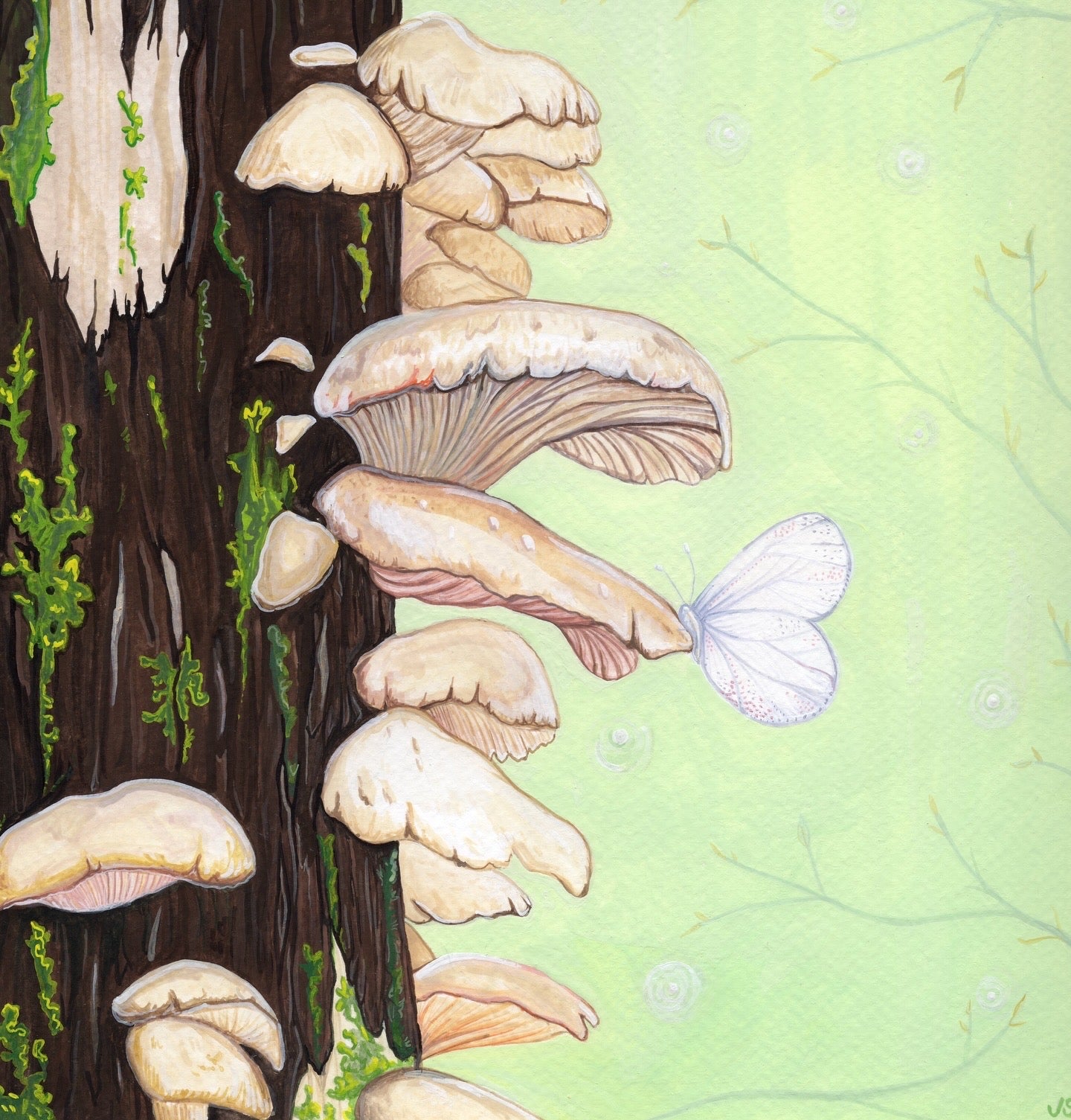 Oyster Mushrooms | Prints