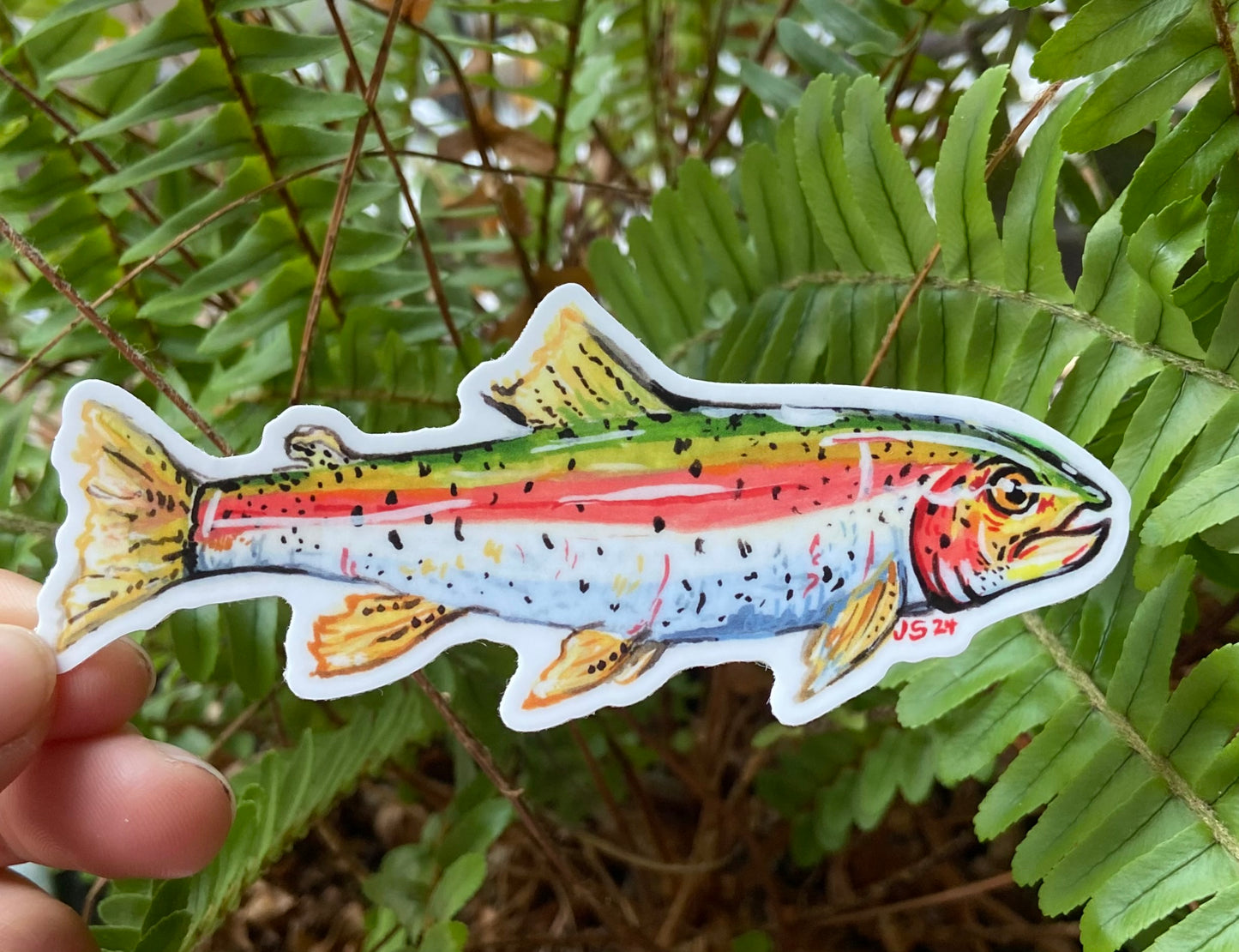 Rainbow trout