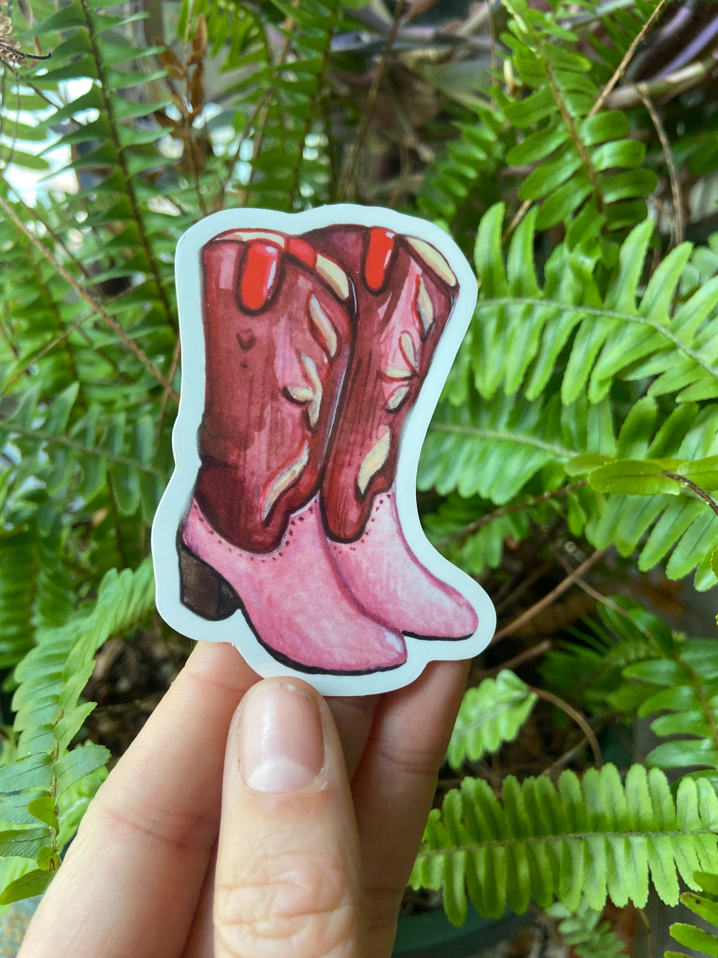 Cowgirl (or boy) boots