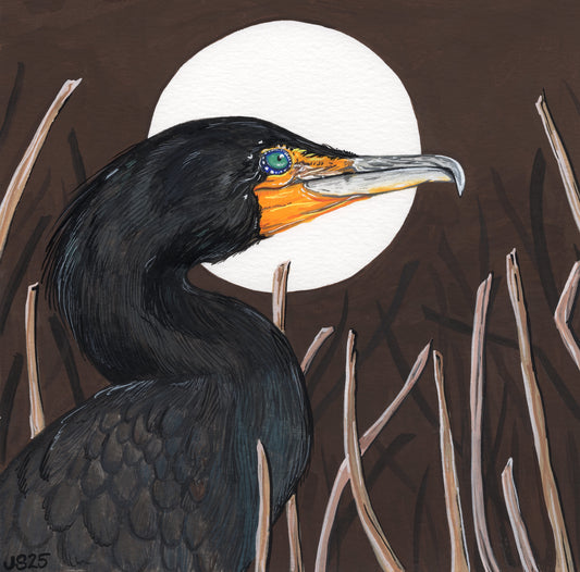 Cormorant | Original Painting