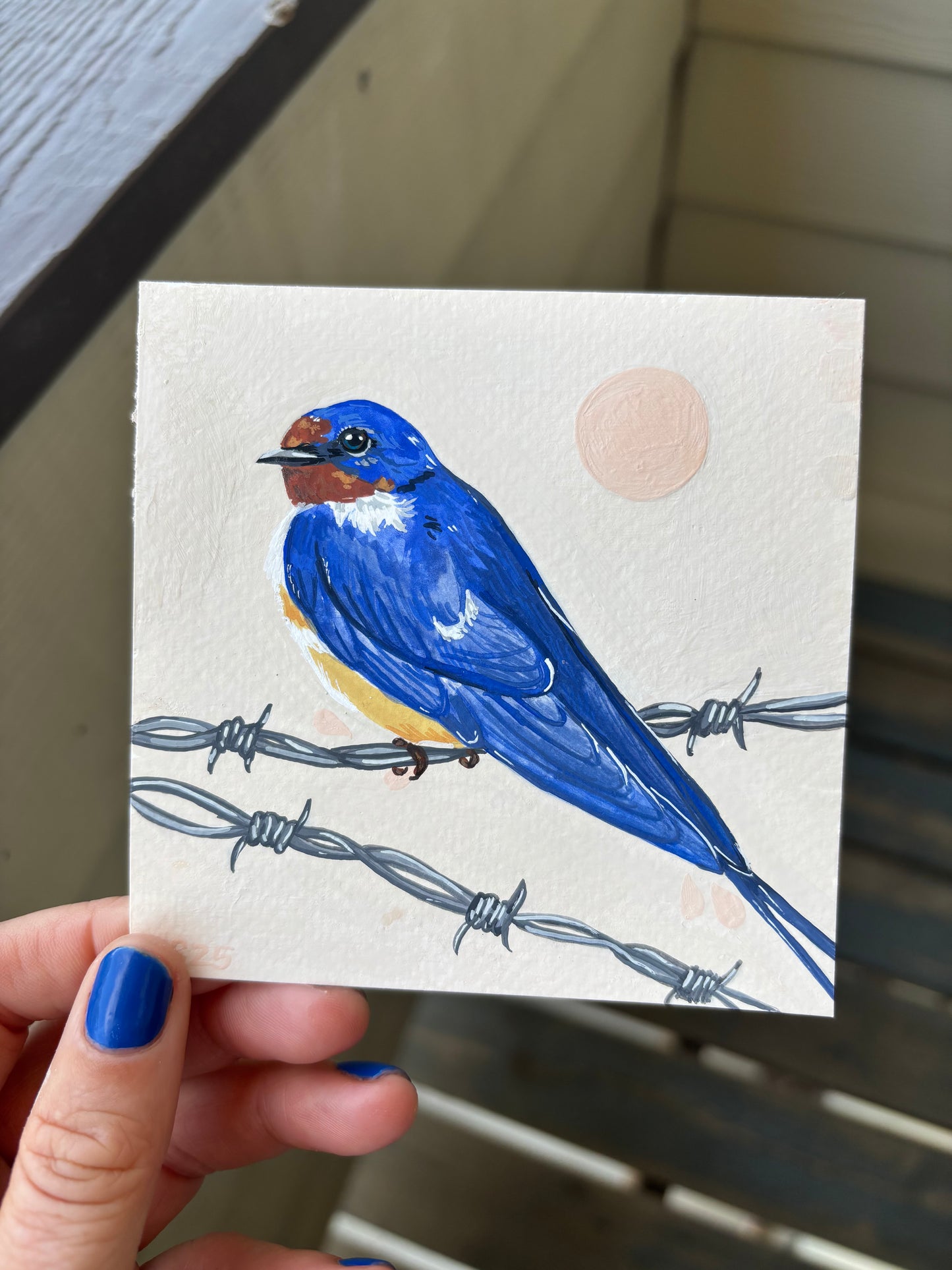 Barn Swallow | Original Painting