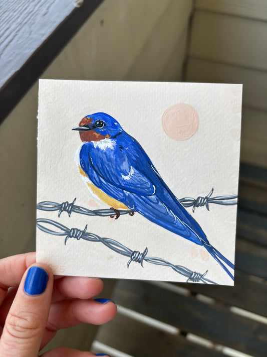 Barn Swallow | Original Painting