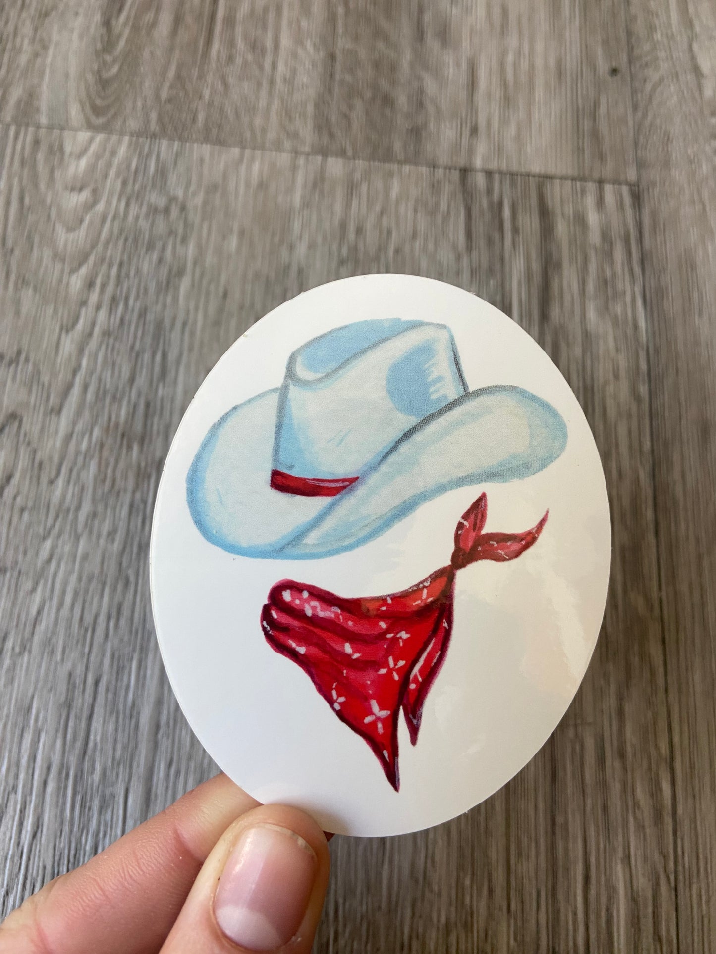 Cowboy hat and bandana