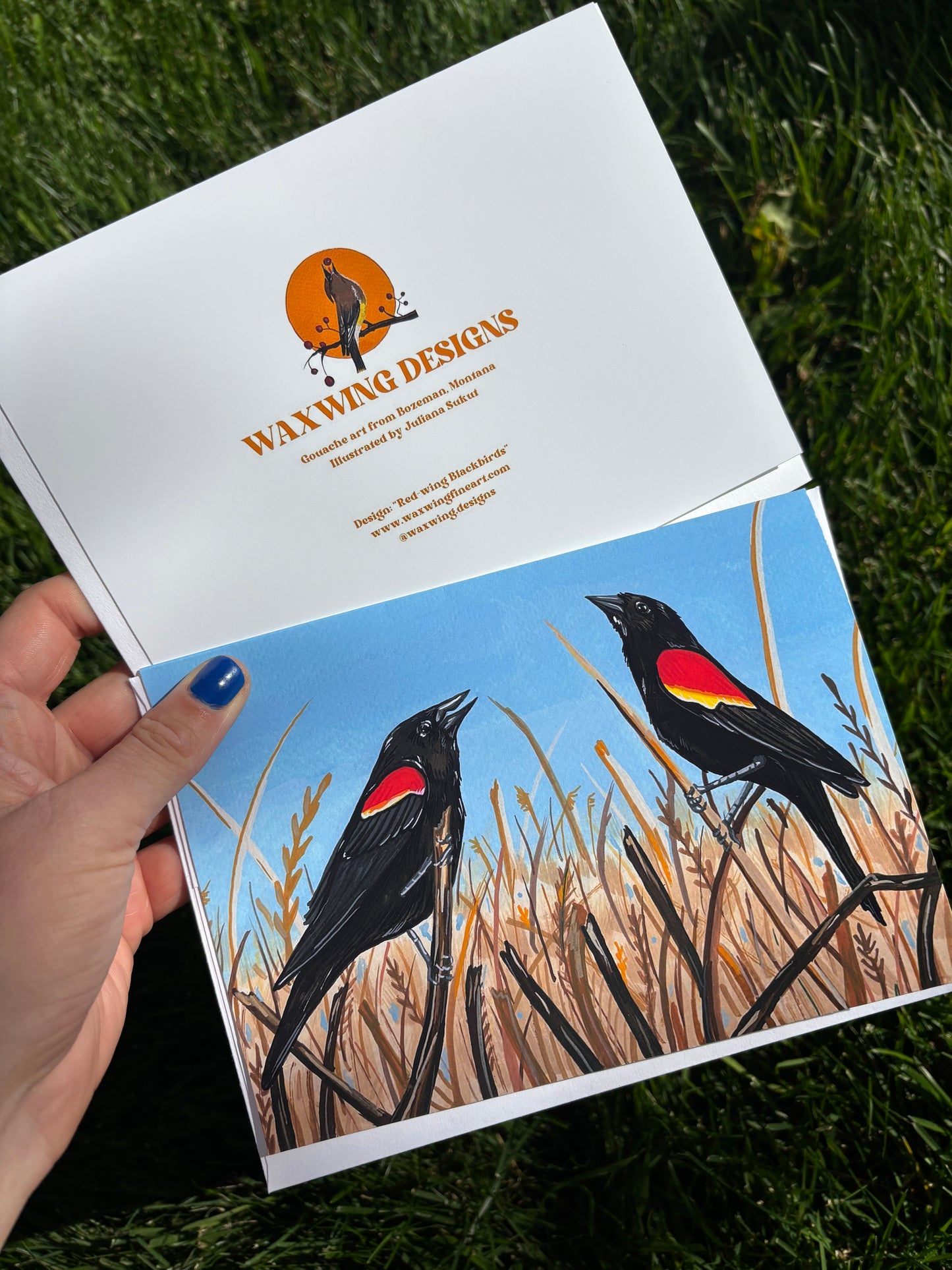 Red-Winged Blackbirds Card