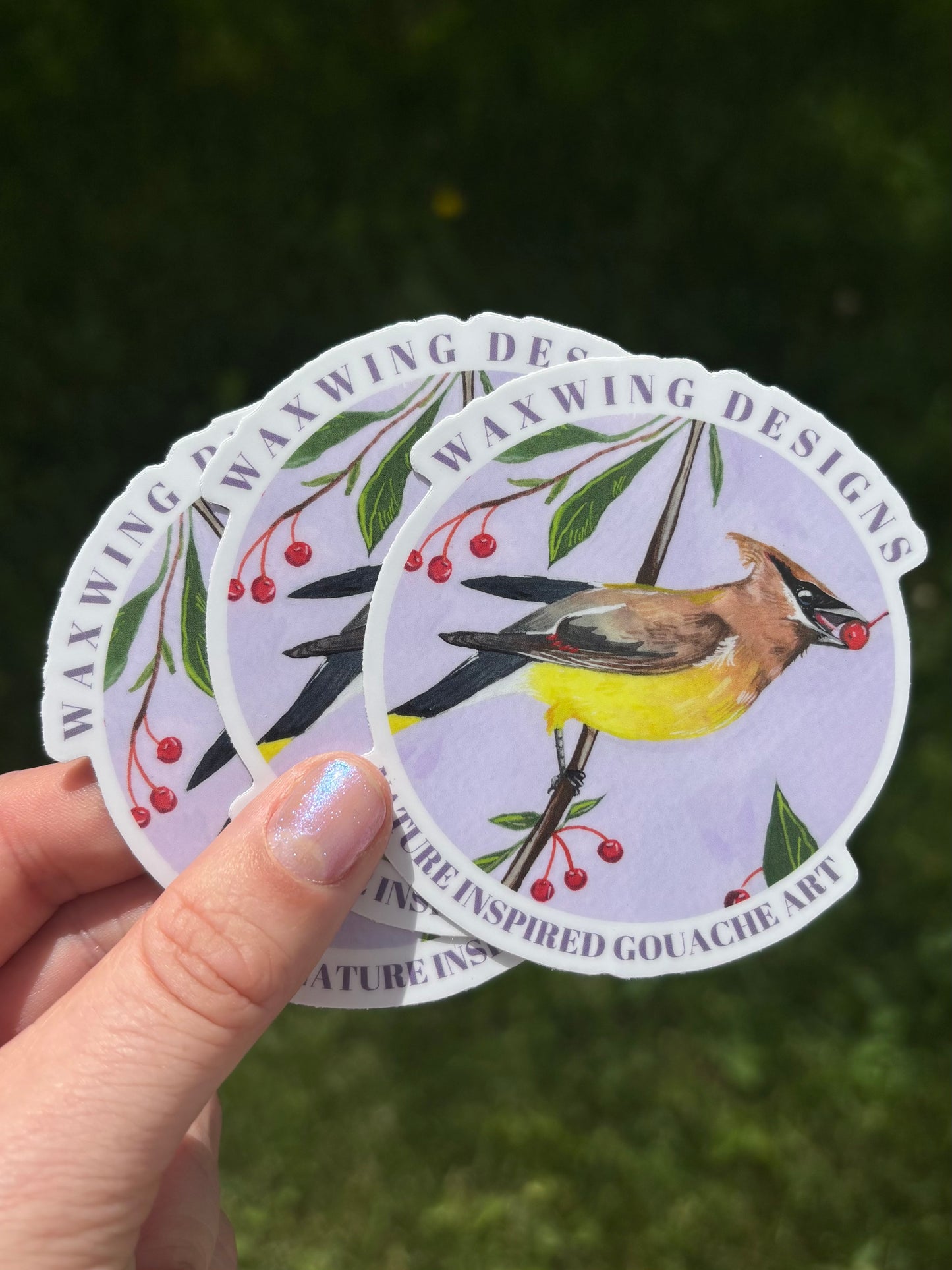 Waxwing sticker