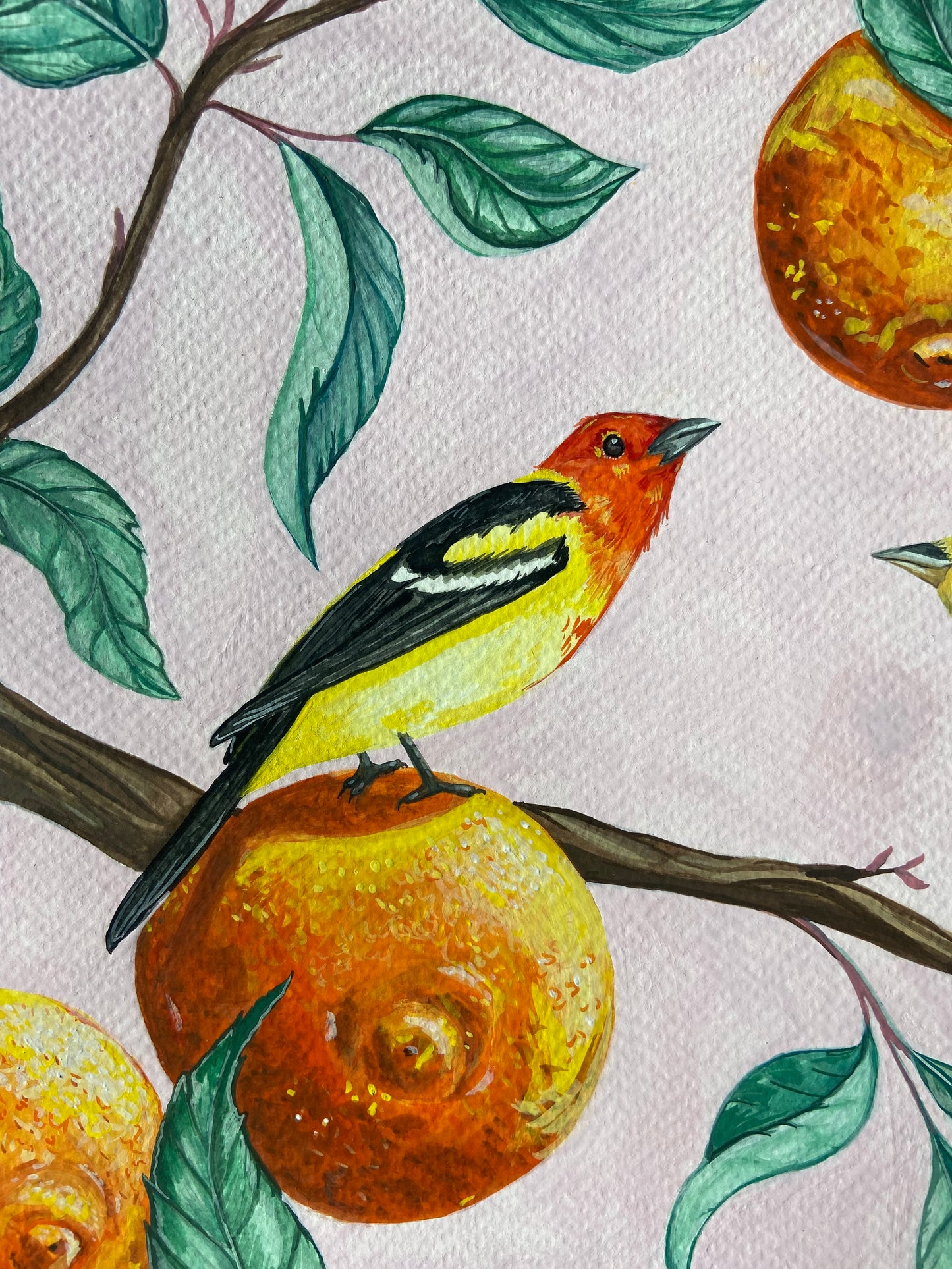 Western Tangerines | Original Painting