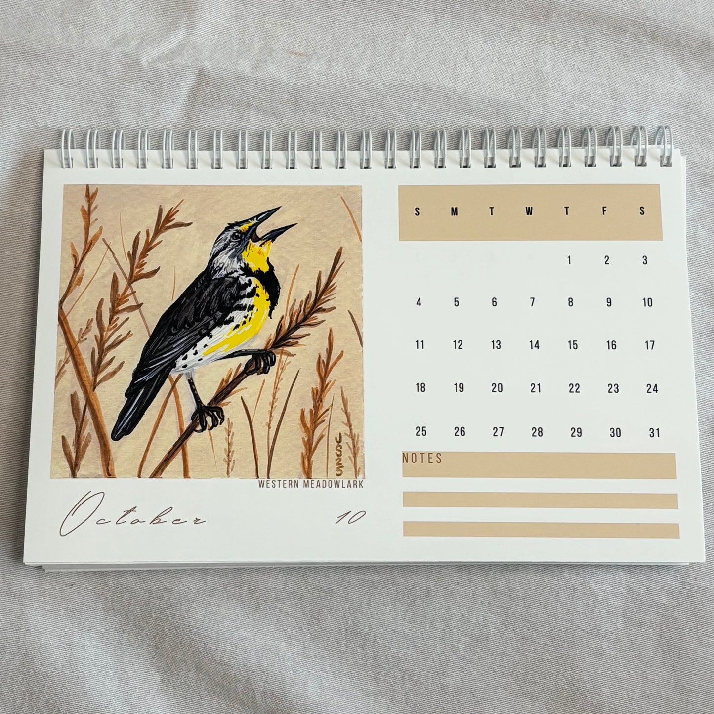 2026 Desk Calendar - Backyard Birds