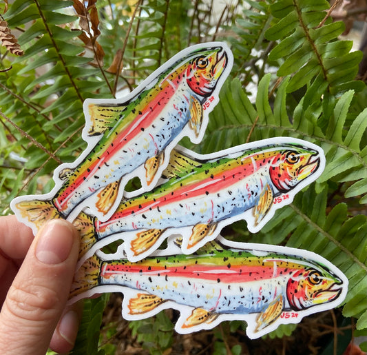 Rainbow trout