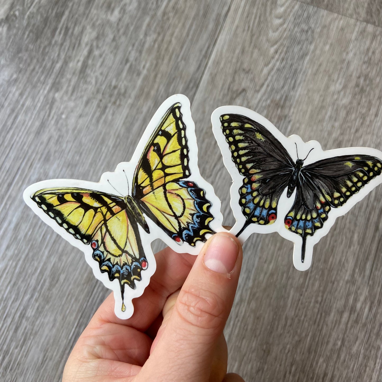 Black Swallowtail Butterfly sticker