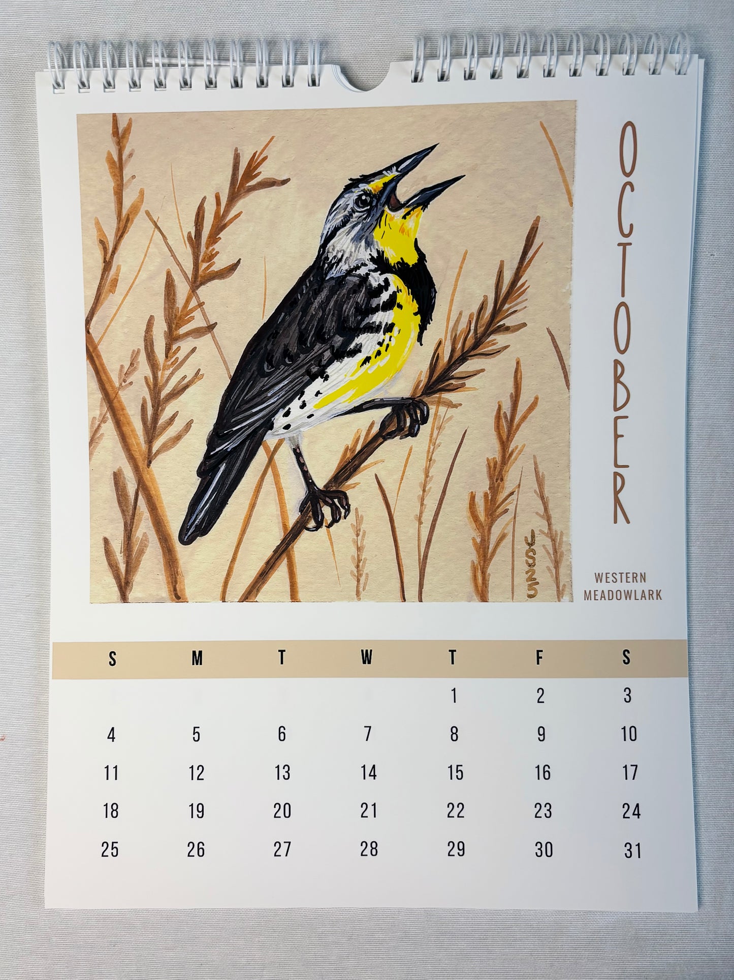 2026 Wall Calendars - Backyard Birds