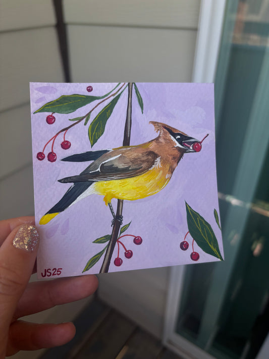 Cedar Waxwing | Original Painting